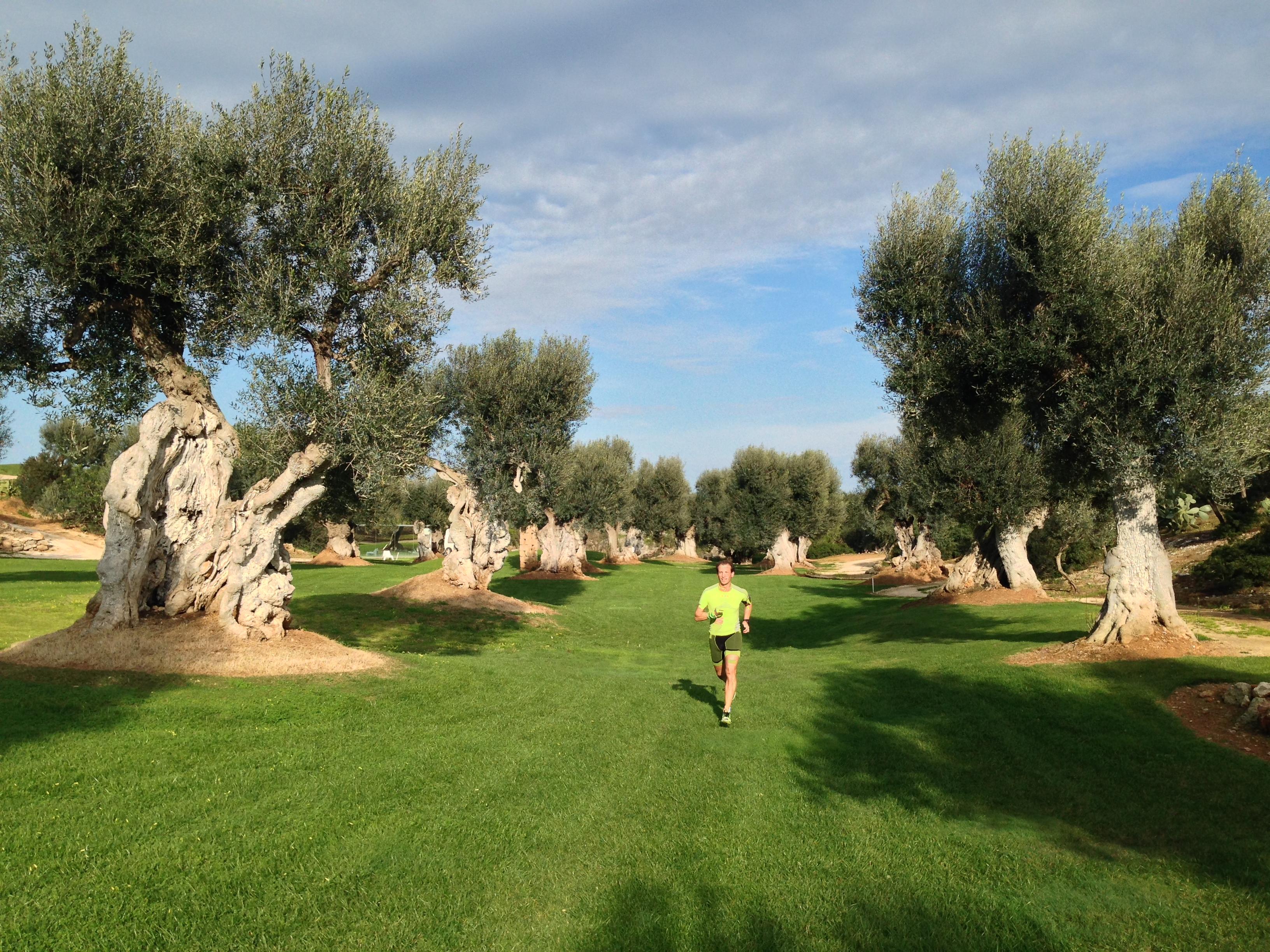 Rocco Forte Masseria Torre Maizza Savelletri Esterno foto