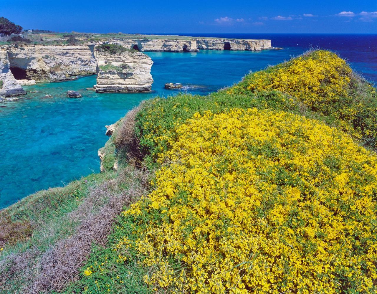 Rocco Forte Masseria Torre Maizza Savelletri Esterno foto